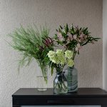 Набор цветов для интерьера дома и офиса в Санкт-Петербурге - Фотография 5