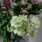 Набор цветов для интерьера дома и офиса в Санкт-Петербурге - Фотография 7