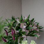 Набор цветов для интерьера дома и офиса в Санкт-Петербурге - Фотография 4