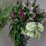 Набор цветов для интерьера дома и офиса в Санкт-Петербурге - Фотография 3