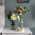 Набор цветов для интерьера дома и офиса в Санкт-Петербурге - Фотография 1