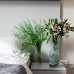 Набор цветов для интерьера дома и офиса в Санкт-Петербурге - Фотография 2