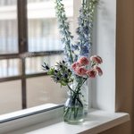 Набор цветов для интерьера дома и офиса в Санкт-Петербурге - Фотография 1