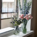 Набор цветов для интерьера дома и офиса в Санкт-Петербурге - Фотография 3