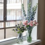 Набор цветов для интерьера дома и офиса в Санкт-Петербурге - Фотография 1