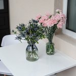 Набор цветов для интерьера дома и офиса в Санкт-Петербурге - Фотография 1