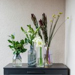 Набор цветов для интерьера дома и офиса в Санкт-Петербурге - Фотография 1