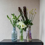 Набор цветов для интерьера дома и офиса в Санкт-Петербурге - Фотография 5