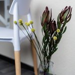 Набор цветов для интерьера дома и офиса в Санкт-Петербурге - Фотография 9