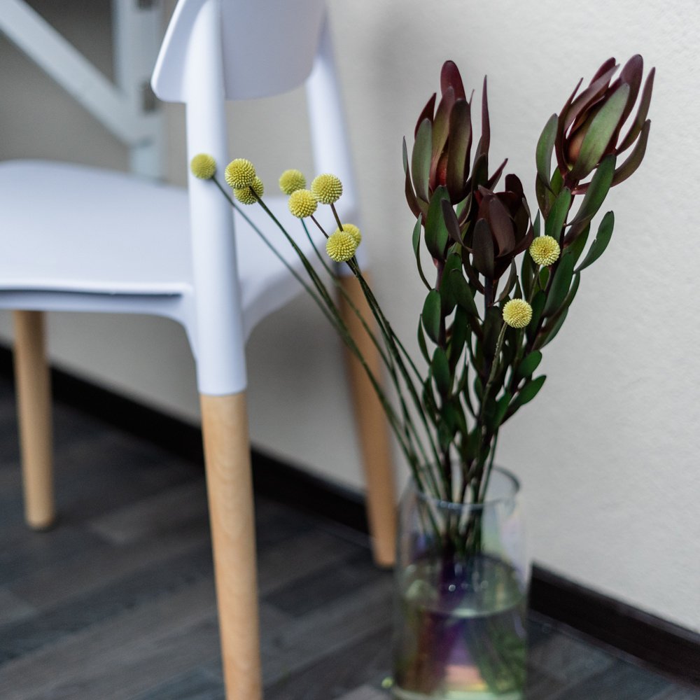 Сет №3. Размер M. Цветы для интерьера дома