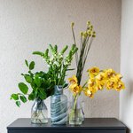 Набор цветов для интерьера дома и офиса в Санкт-Петербурге - Фотография 1