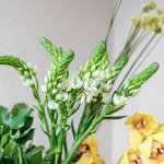 Набор цветов для интерьера дома и офиса в Санкт-Петербурге - Фотография 9