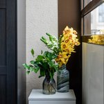 Набор цветов для интерьера дома и офиса в Санкт-Петербурге - Фотография 5