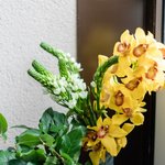 Набор цветов для интерьера дома и офиса в Санкт-Петербурге - Фотография 6