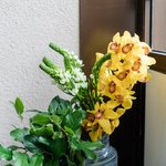 Набор цветов для интерьера дома и офиса в Санкт-Петербурге - Фотография 8