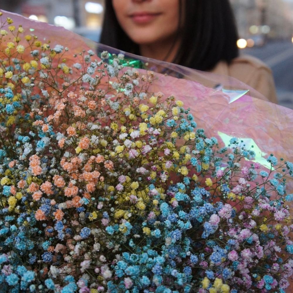 Лоллипоп: радужная гипсофила