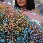 Лоллипоп: радужная гипсофила в Санкт-Петербурге - Фотография 3