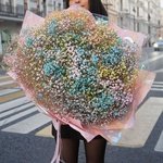 Лоллипоп: радужная гипсофила в Санкт-Петербурге - Фотография 4