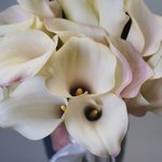 Белые каллы с доставкой в Санкт-Петербурге - Фотография 4 Белые каллы с доставкой в Санкт-Петербурге - Фотография 4