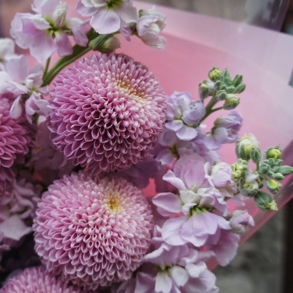 Тайное свидание: хризантемы Момоко и лиловая маттиола + аквабокс и коробка-переноска