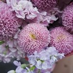 Тайное свидание: хризантемы Момоко и лиловая маттиола - Фотография 11