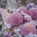 Тайное свидание: хризантемы Момоко и лиловая маттиола - Фотография 14