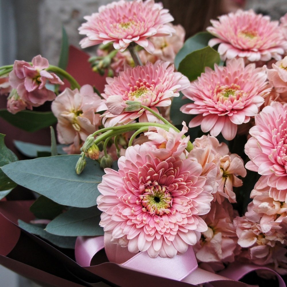 Флирт: герберы помпони, маттиола и эвкалипт