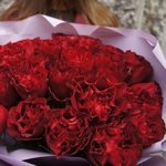 Сияй! Букет из 25 красных роз сорта Хартс, пионовидные, с доставкой в Санкт-Петербурге - Фотография 5