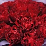 Сияй! Букет из 25 красных роз сорта Хартс, пионовидные, с доставкой в Санкт-Петербурге - Фотография 4