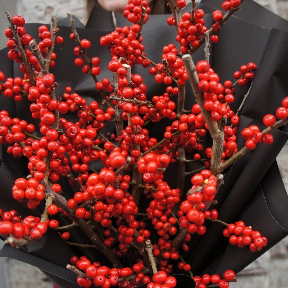 Ягодный поцелуй: зимний букет из илекса