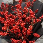 Ягодный поцелуй: зимний букет из илекса в Санкт-Петербурге - Фотография 6