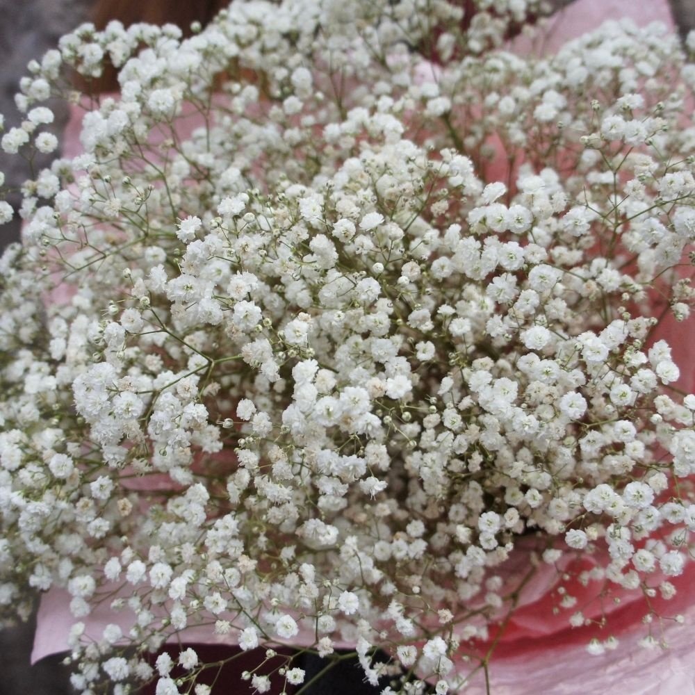 Флаффи белый: большой букет из гипсофилы
