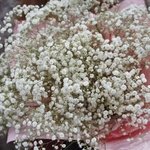 Флаффи белый: большой букет из гипсофилы в Санкт-Петербурге - Фотография 4 Флаффи белый: большой букет из гипсофилы в Санкт-Петербурге - Фотография 4