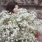 Флаффи белый: большой букет из гипсофилы в Санкт-Петербурге - Фотография 6 Флаффи белый: большой букет из гипсофилы в Санкт-Петербурге - Фотография 6