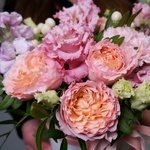 Боска: цветы в шляпной коробке за 3590 в Санкт-ПетербургеБоска: цветы в шляпной коробке за 3590 в Санкт-Петербурге - Фотография 3 Боска: цветы в шляпной коробке за 3590 в Санкт-ПетербургеБоска: цветы в шляпной коробке за 3590 в Санкт-Петербурге - Фотография 3