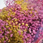 Ямайское облако: объёмный букет розовой и лимонной гипсофилы - Фотография 9