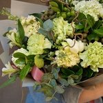 Эйриезская долина: тропический кактус, ветви карелиуса и южноафриканская бруния в Санкт-Петербурге - Фотография 2