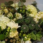 Эйриезская долина: тропический кактус, ветви карелиуса и южноафриканская бруния в Санкт-Петербурге - Фотография 6