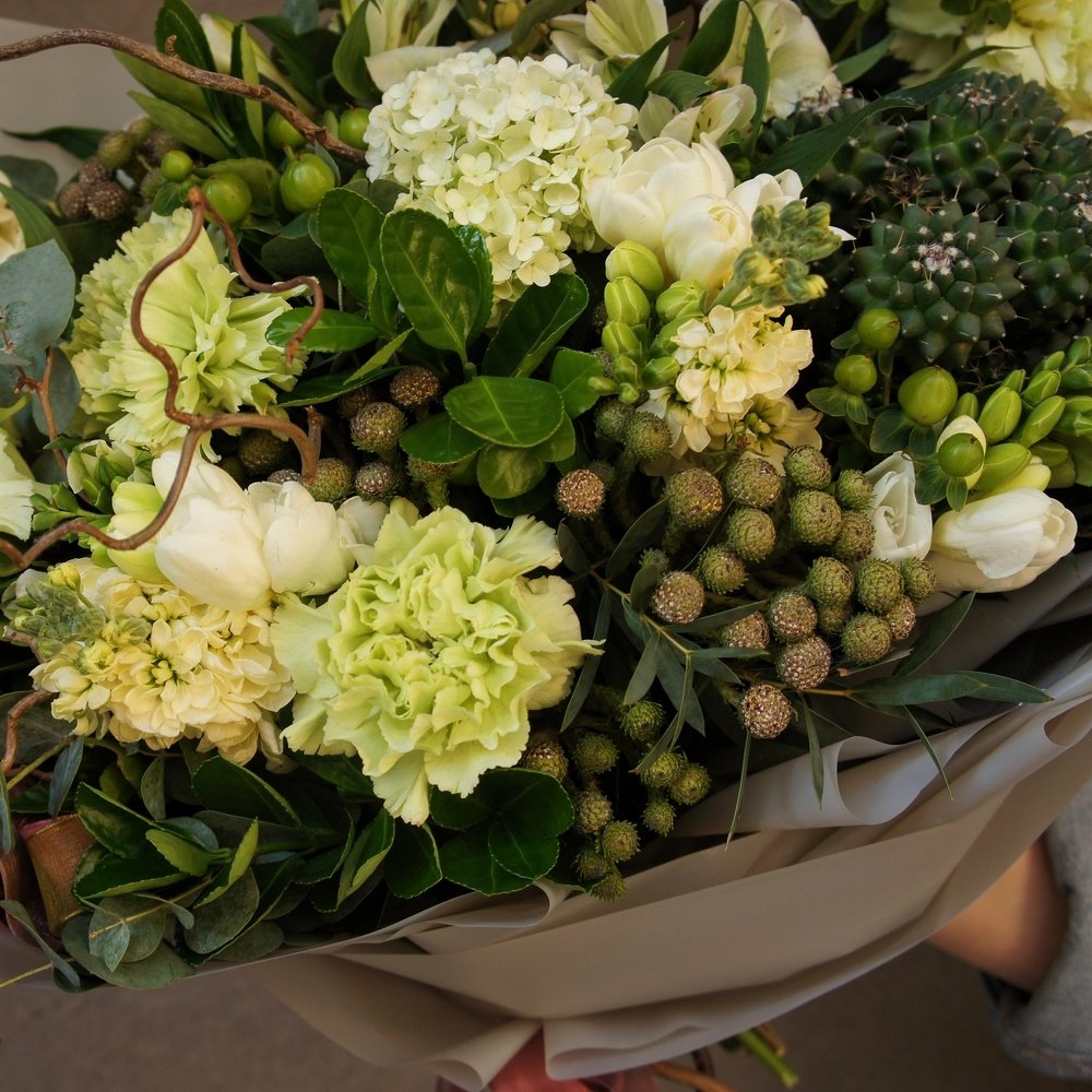 Эйриезская долина: тропический кактус, ветви карелиуса и южноафриканская бруния