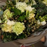 Эйриезская долина: тропический кактус, ветви карелиуса и южноафриканская бруния в Санкт-Петербурге - Фотография 8