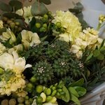 Эйриезская долина: тропический кактус, ветви карелиуса и южноафриканская бруния в Санкт-Петербурге - Фотография 9