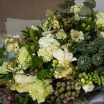 Эйриезская долина: тропический кактус, ветви карелиуса и южноафриканская бруния в Санкт-Петербурге - Фотография 25