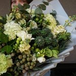 Эйриезская долина: тропический кактус, ветви карелиуса и южноафриканская бруния в Санкт-Петербурге - Фотография 24