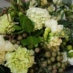 Эйриезская долина: тропический кактус, ветви карелиуса и южноафриканская бруния в Санкт-Петербурге - Фотография 22