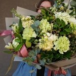 Эйриезская долина: тропический кактус, ветви карелиуса и южноафриканская бруния в Санкт-Петербурге - Фотография 10