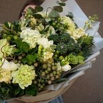 Эйриезская долина: тропический кактус, ветви карелиуса и южноафриканская бруния в Санкт-Петербурге - Фотография 11