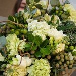 Эйриезская долина: тропический кактус, ветви карелиуса и южноафриканская бруния в Санкт-Петербурге - Фотография 19