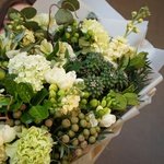 Эйриезская долина: тропический кактус, ветви карелиуса и южноафриканская бруния в Санкт-Петербурге - Фотография 20