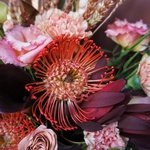 Отражение глаз твоих: тропический леукасперум, тёмные каллы и аутентичная скабиоза в Санкт-Петербурге - Фотография 10