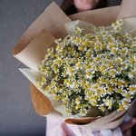 Привет, ромашки! Букет ромашек с доставкой. Санкт-Петербург. Круглосуточно - Фотография 2 Привет, ромашки! Букет ромашек с доставкой. Санкт-Петербург. Круглосуточно - Фотография 2